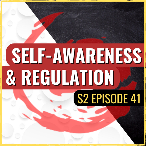 Why Are Self Awareness & Regulation Important – And How You Can Develop It | ASQ PODCAST S2 E41